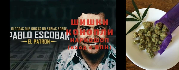 ГАЛЛЮЦИНОГЕННЫЕ ГРИБЫ Абаза
