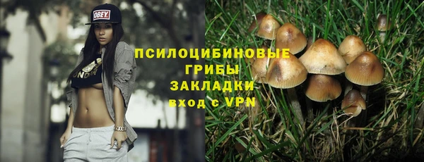 ГАЛЛЮЦИНОГЕННЫЕ ГРИБЫ Абаза