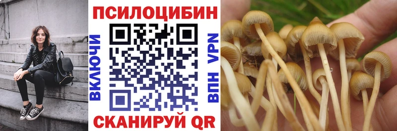 купить наркоту  Сысерть  Псилоцибиновые грибы прущие грибы 